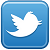 twitter icon